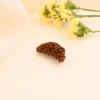 Authentic 1 Mukhi Rudraksha - Image 2