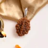 Authentic 2 Mukhi Rudraksha - Image 2