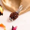 Authentic 3 Mukhi Rudraksha - Image 2