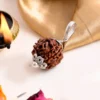Authentic 4 Mukhi Rudraksha - Image 2