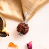 Authentic 5 Mukhi Rudraksha - Image 2