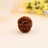 Authentic 5 Mukhi Rudraksha - Image 4