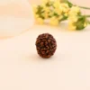 Authentic 6 Mukhi Rudraksha - Image 2