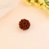 Authentic 7 Mukhi Rudraksha - Image 2