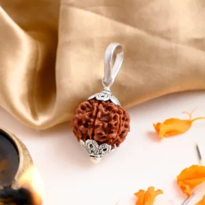 Authentic 7 Mukhi Rudraksha