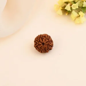 Authentic 8 Mukhi Rudraksha