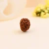 Authentic 8 Mukhi Rudraksha - Image 2