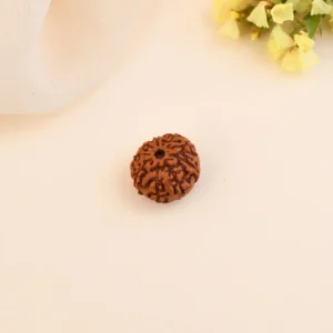 Authentic 9 Mukhi Rudraksha