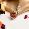 Authentic 9 Mukhi Rudraksha - Image 2