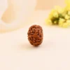 Authentic 9 Mukhi Rudraksha - Image 4