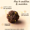 Authentic 7 Mukhi Rudraksha - Image 6
